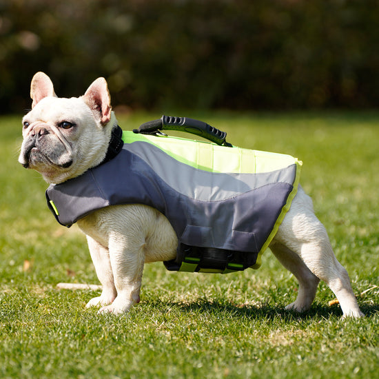 Neue reflektierende Schwimmweste für Hunde