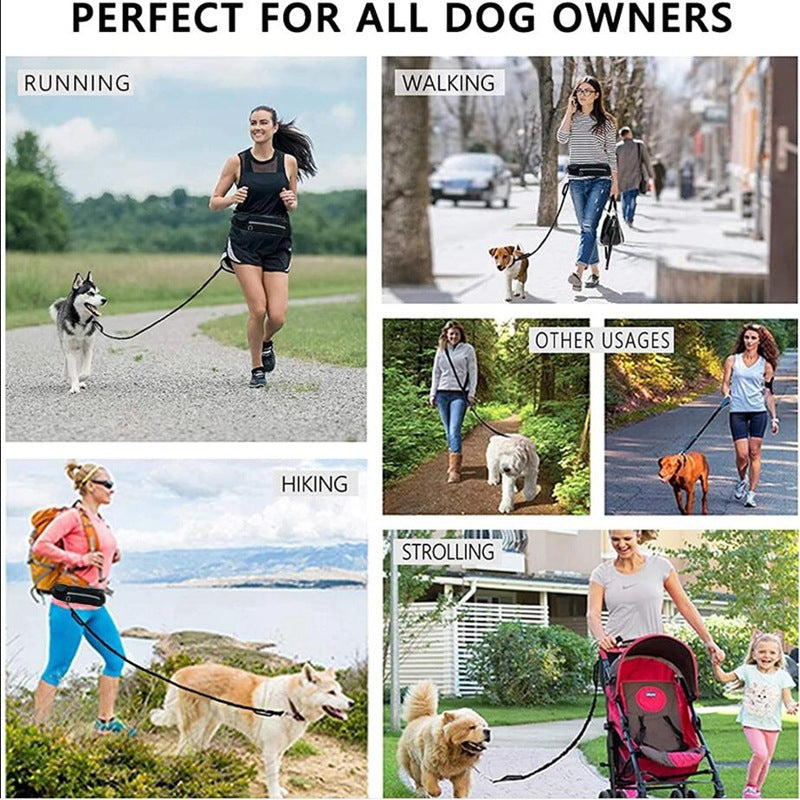 Bucciato hands-free dog leash with shock-absorbing bungee, phone pocket, water bottle holder, suitable for large dogs up to 180lbs