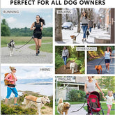 Bucciato hands-free dog leash with shock-absorbing bungee, phone pocket, water bottle holder, suitable for large dogs up to 180lbs