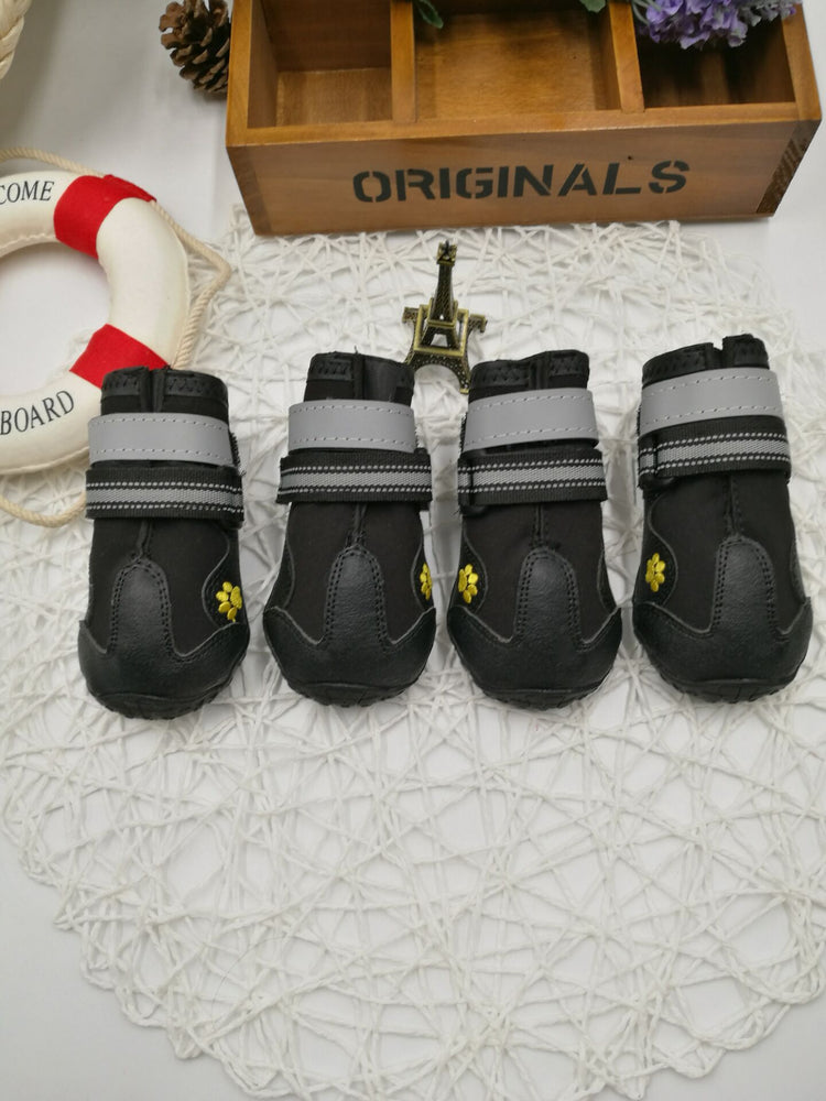 Dog wearing Bucciato pet shoes, lightweight dog shoes for protection and comfort during walks.