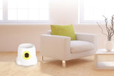 Dog playing with Bucciato automatic interactive ball launcher, a pet toy for exercise and training.