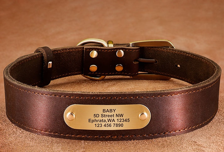 Personalized Dog Collars with Nameplate ID Tags for Medium Large Dogs