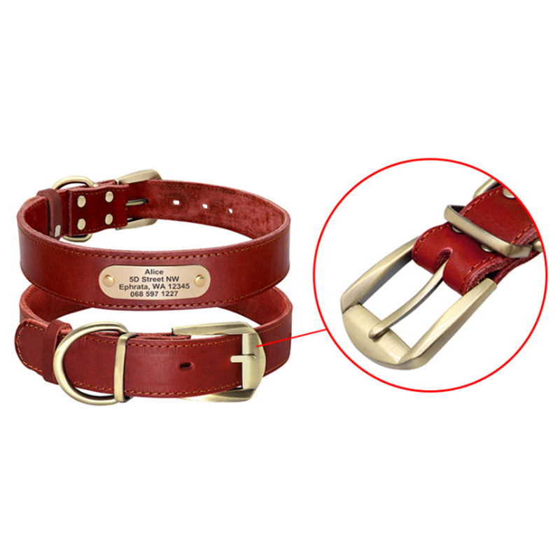 Personalized Dog Collars with Nameplate ID Tags for Medium Large Dogs