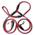Double-ended dog traction rope with two leashes and collars, suitable for walking and training pets.