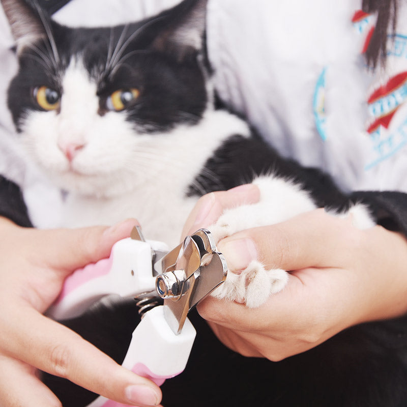 Pet nail clippers from Bucciato, designed for safe and easy grooming of dogs and cats&