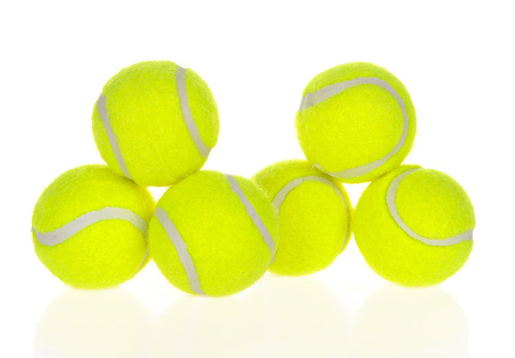 Automatic dog ball launcher by Bucciato, interactive pet toy for training and exercise with a sleek design.