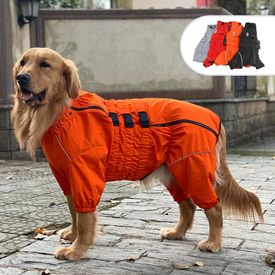 Outdoor-Regenmantel für vierbeinige Hunde, Haustierbekleidung