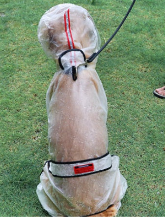 Große Hunde gehen mit wasserdichtem Regenmantel nach draußen