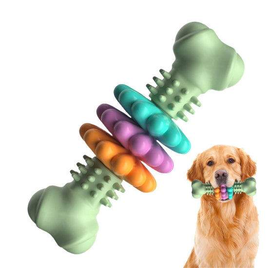 Durable TPR dog bone chew toy for teeth cleaning and teething, perfect for dogs to bite and chew safely.