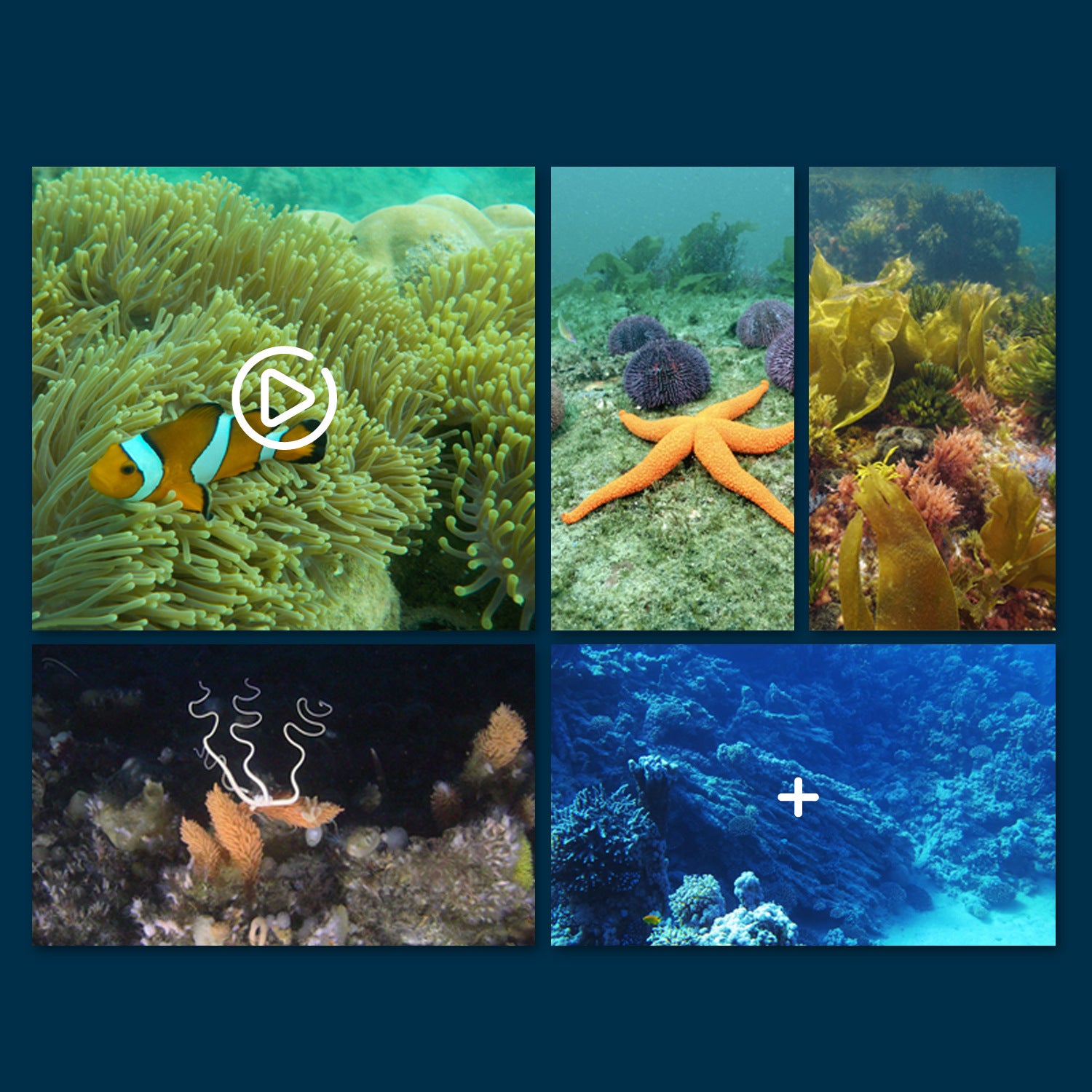 Fernsteuerung mit Echtzeitübertragung in sechs Richtungen, Unterwasserkamera, Bootsfoto, Video, visuelle Fernsteuerung, Schiff