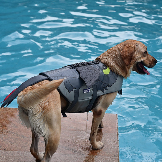 Fliegender Drache Cosplay Hunde-Badeanzug