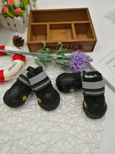 Dog wearing Bucciato pet shoes, lightweight and comfortable footwear designed for dogs to protect their paws.