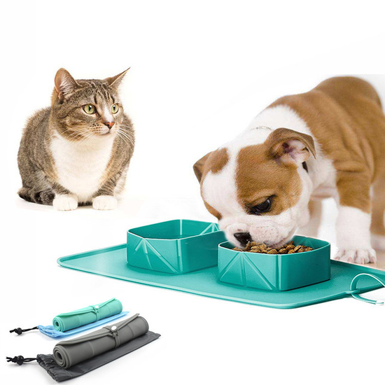Silicone folding pet bowl by Bucciato, portable and collapsible for easy feeding and water for pets on the go.
