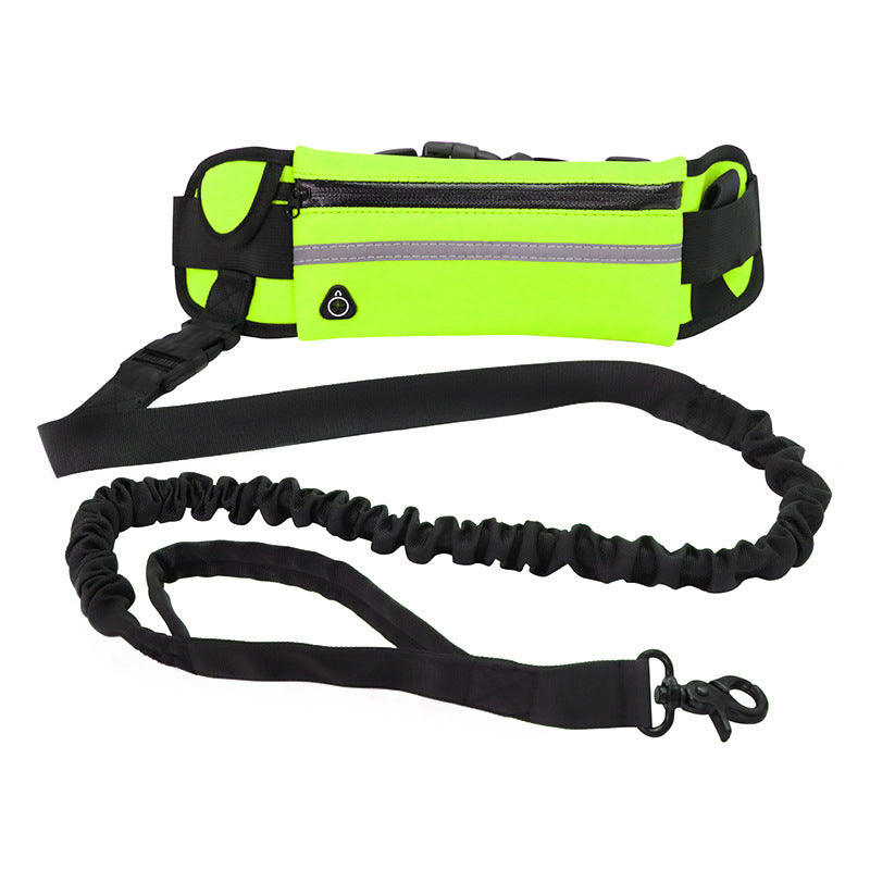 Hands-free dog leash with shock-absorbing bungee for large dogs, featuring a phone pocket and water bottle holder in pet supplies.