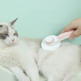 Round handle pet massage comb from Bucciato, featuring fine metal teeth for gentle grooming and detangling of pet fur.