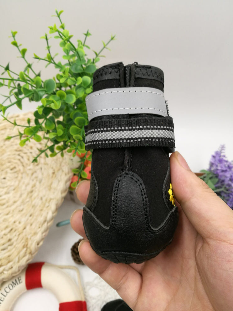 Dog wearing Bucciato pet shoes, comfortable and protective pet footwear for dogs, shown on a plain background.