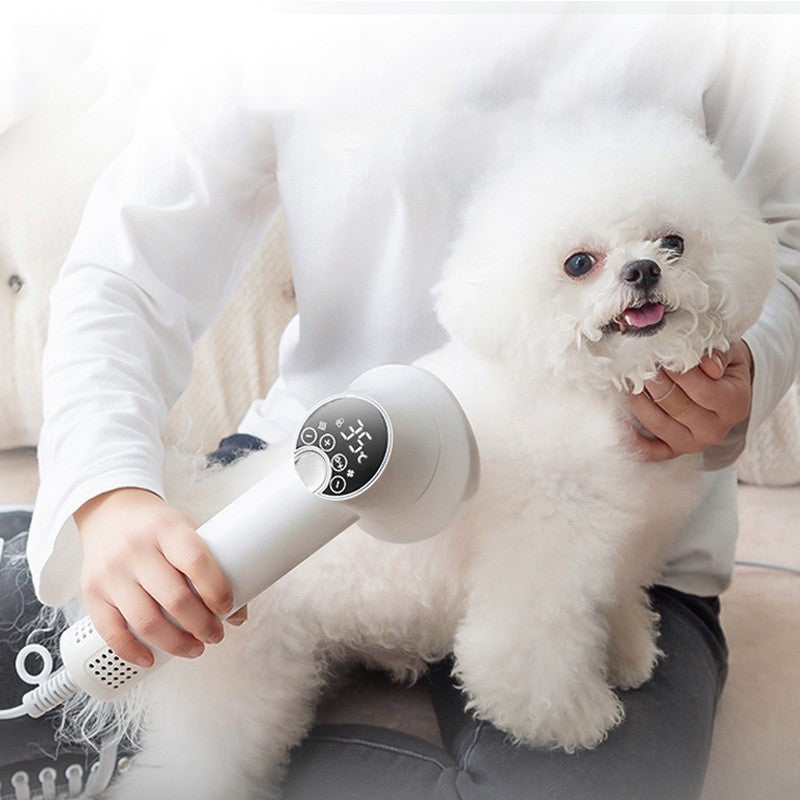 Bucciato pet hair dryer for dogs and cats, featuring a silent, gentle blow-drying and grooming tool for pet cleaning and hairdressing.