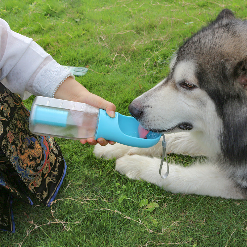 Portable Bucciato 3-in-1 cat and dog water bottle with food dispenser, leak-proof pet feeder and drinker for travel and outdoor use.