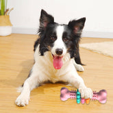 Durable TPR dog bone chew toy for teeth cleaning, featuring textured surface for teething and bite resistance, suitable for dogs.