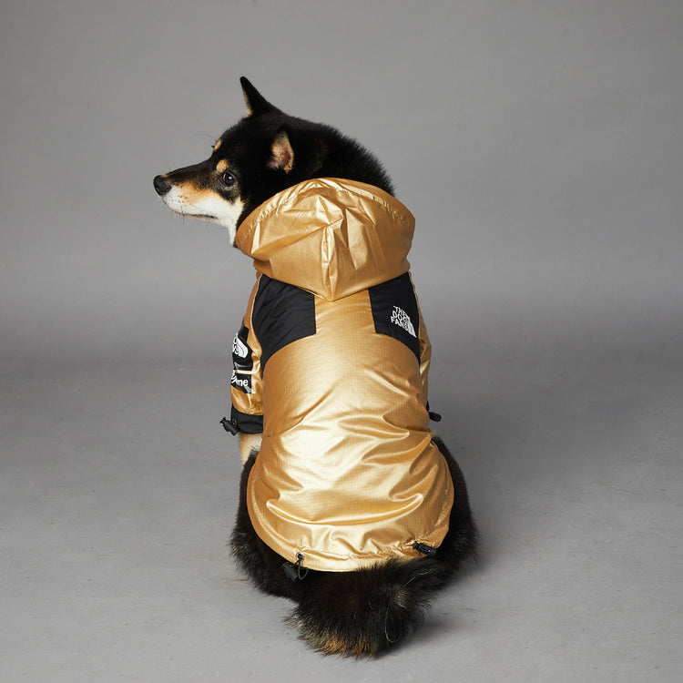 Large dog raincoat from Bucciato Pet Apparel, waterproof jacket designed for dogs to stay dry in rainy weather.