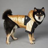 Large Bucciato dog raincoat in waterproof fabric, featuring a hood and adjustable straps, perfect for keeping pets dry in rainy weather.