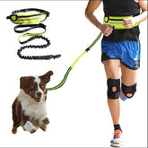 Dog leash and training belt with shock-absorbing bungee, phone pocket, and water bottle holder for large dogs up to 180lbs.