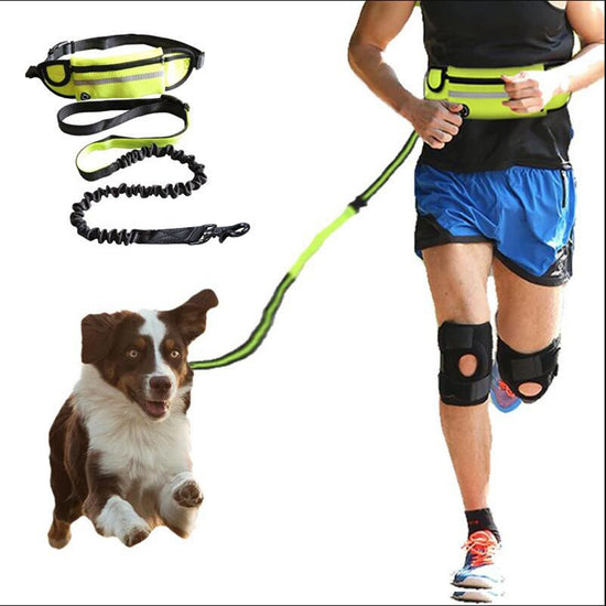 Dog leash and training belt with shock-absorbing bungee, phone pocket, and water bottle holder for large dogs up to 180lbs.