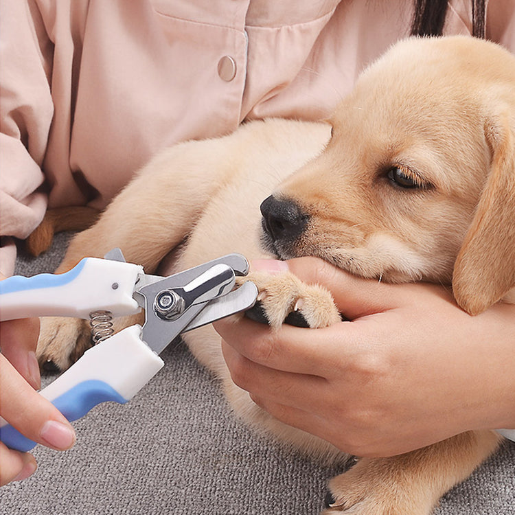 Pet nail clippers from Bucciato for safe grooming, showing stainless steel blades and ergonomic handle for pet care and hygiene.