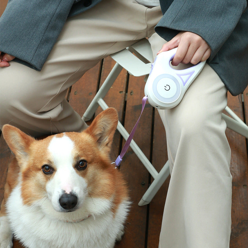 Retractable dog leash and collar set for small to medium pets, featuring automatic traction and built-in spotlight.