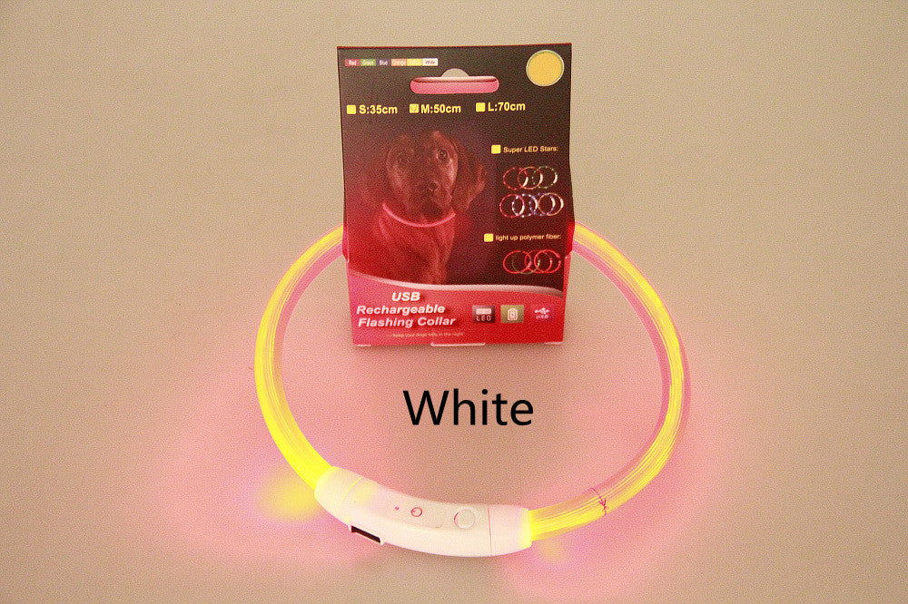 USB rechargeable glowing pet flashing collar with neon light for night walking, safety collar for dogs, from Bucciato Multi-Product Store.
