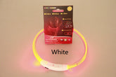 USB rechargeable glowing pet flashing collar with neon light for night walking, safety collar for dogs, from Bucciato Multi-Product Store.