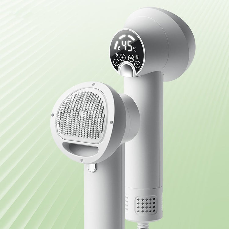 Golden Retriever being groomed with Bucciato pet hair dryer, showing silent blow-drying and grooming in a clean, professional setting.