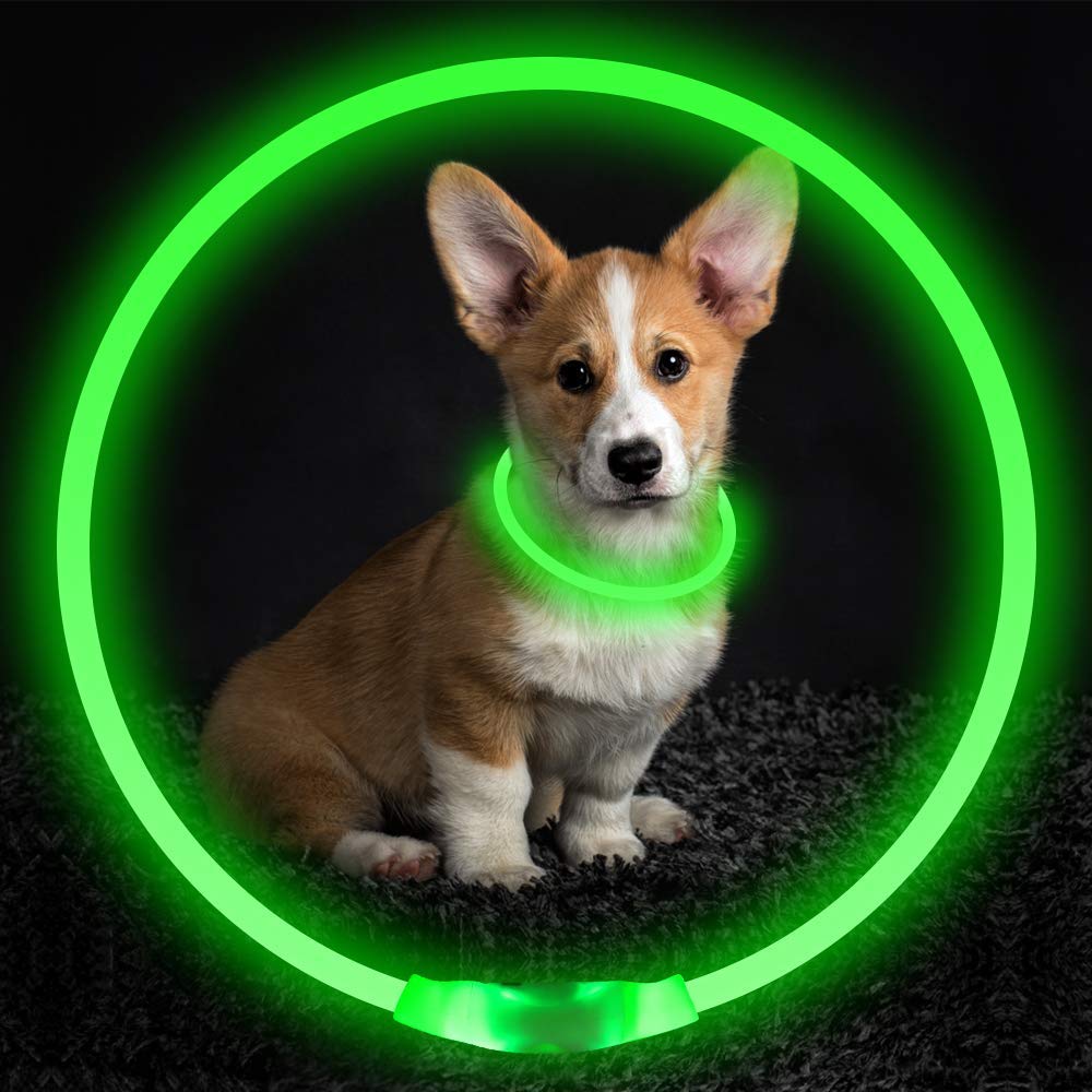 Pet flashing collar with glowing LED light, USB rechargeable safety necklace for night walks, ideal for electric dogs and night visibility