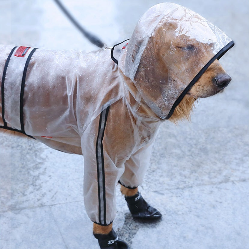 Große Hunde gehen mit wasserdichtem Regenmantel nach draußen