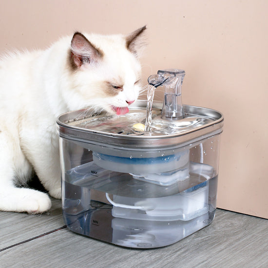 Automatischer Wasserspender aus Edelstahl für Haustiere (Katzen und Hunde) – Intelligentes Trinkbrunnen-Zubehör