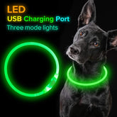 USB rechargeable pet flashing collar with glowing LED light, safety night walking collar for dogs, neon electric collar by Bucciato