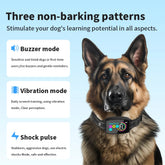 Rechargeable Bucciato anti-barking dog collar with HD digital display, waterproof design, used for pet training and bark control.