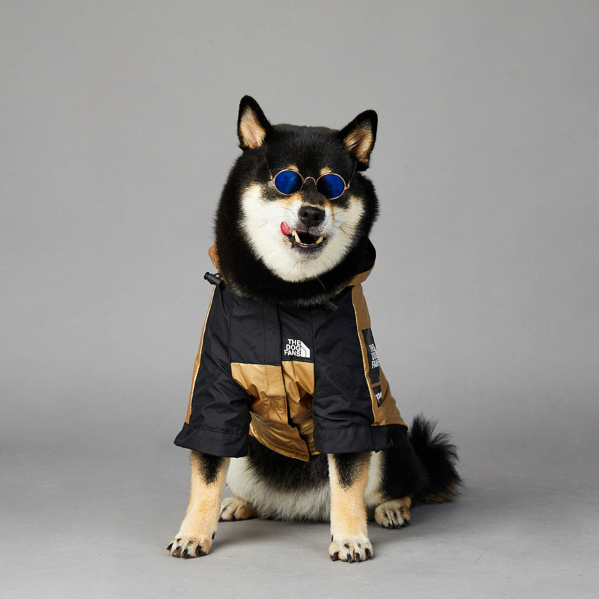 Large dog raincoat from Bucciato, pet jacket with waterproof material and adjustable fit, designed for outdoor protection.