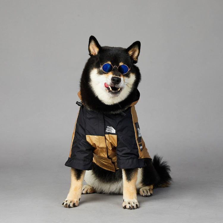 Large dog raincoat from Bucciato, pet jacket with waterproof material and adjustable fit, designed for outdoor protection.