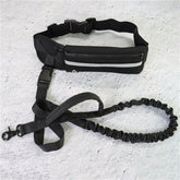 Dog leash with shock-absorbing bungee, phone pocket, and water bottle holder for large dogs up to 180lbs, ideal for walking and training.