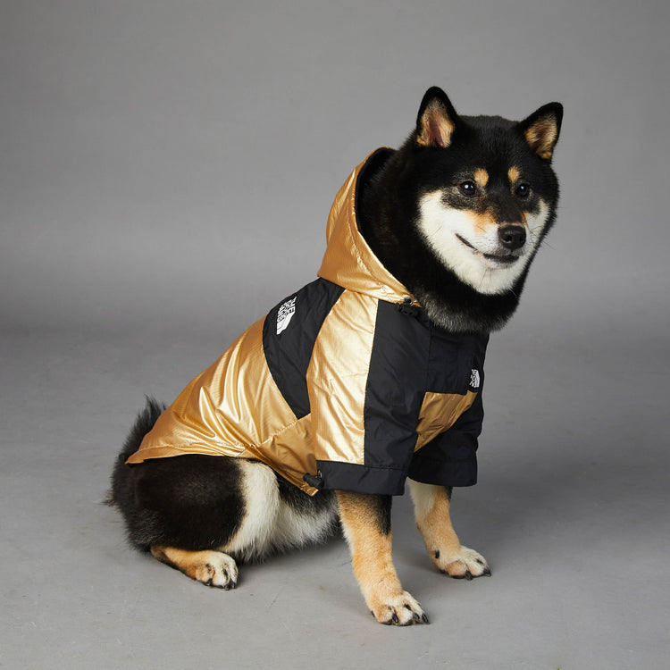 Large dog raincoat by Bucciato, pet jacket designed to keep dogs dry in rainy weather with waterproof material and adjustable fit.