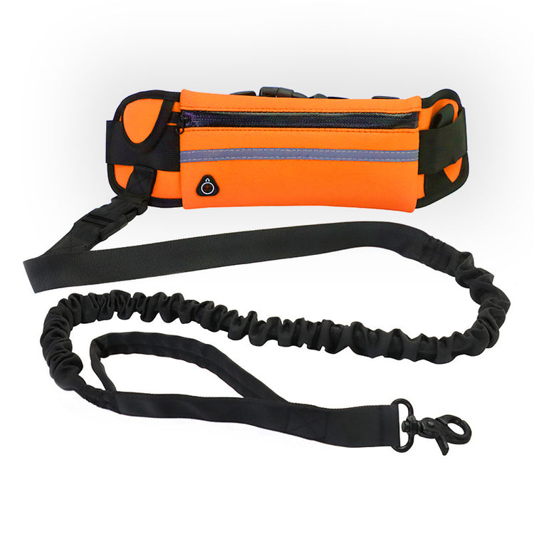 Dog leash with shock-absorbing bungee, phone pocket, and water bottle holder for large dogs up to 180lbs, Bucciato Pet Supplies.