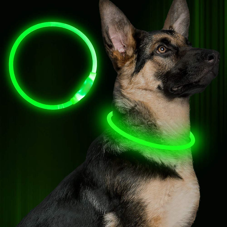 Bright glowing Pet Flashing Collar by Bucciato, USB rechargeable safety collar with neon light for night walking and visibility.