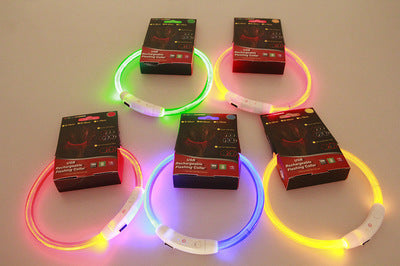 USB rechargeable Pet Flashing Collar by Bucciato, glowing safety collar with LED lights for night walking and visibility.