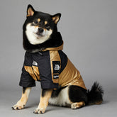 Large dog raincoat from Bucciato, waterproof pet jacket with adjustable straps, designed for outdoor protection during rainy weather.