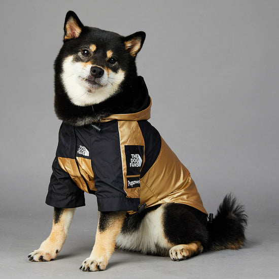 Large dog raincoat from Bucciato, waterproof pet jacket with adjustable straps, designed for outdoor protection during rainy weather.