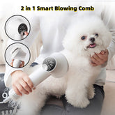 Golden Retriever and cat being groomed with a silent Bucciato pet hair dryer, designed for safe, gentle pet grooming and drying.